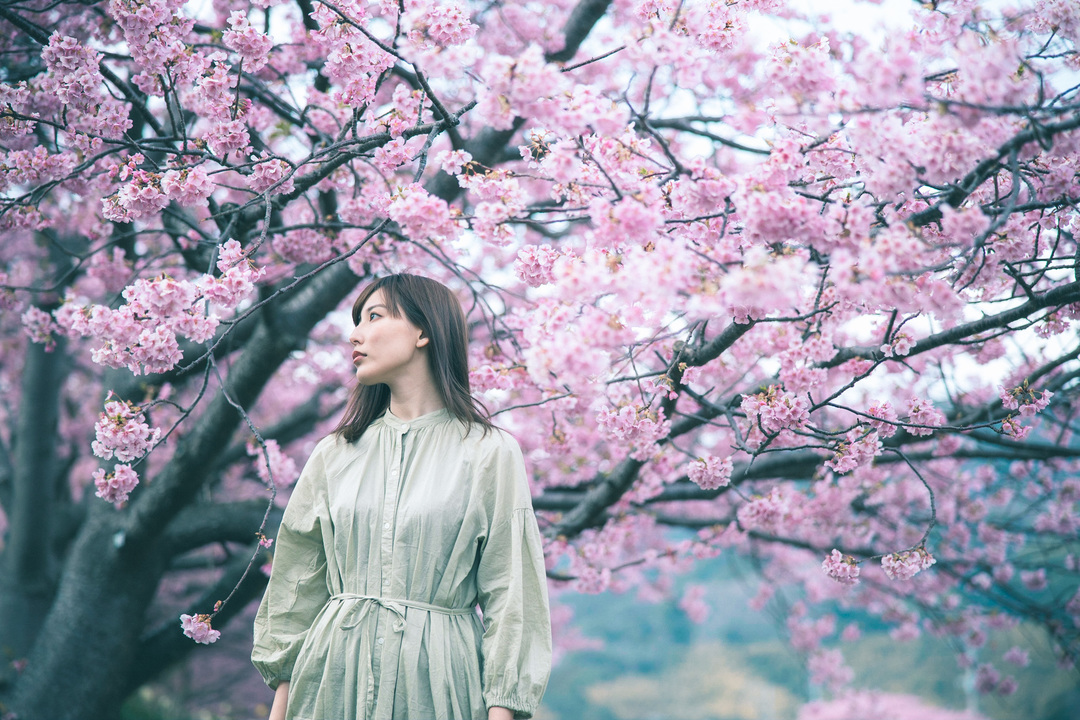 Thumb 8cc3fd80 ed7e 45dc 9be9 3b7ff3233f43