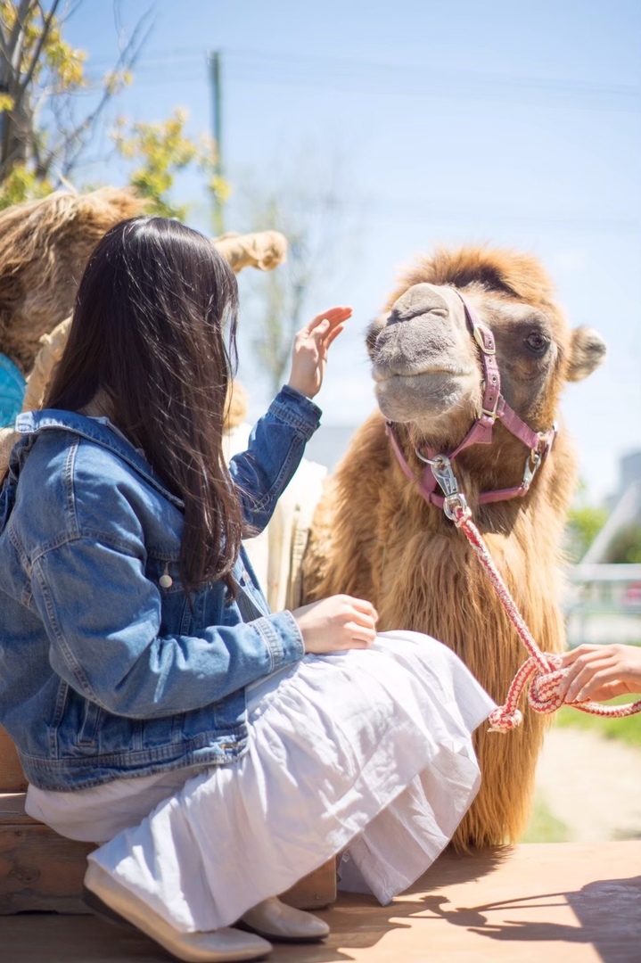 Thumb afb3fca5 cdc2 4e62 982a c99c8be1b69e