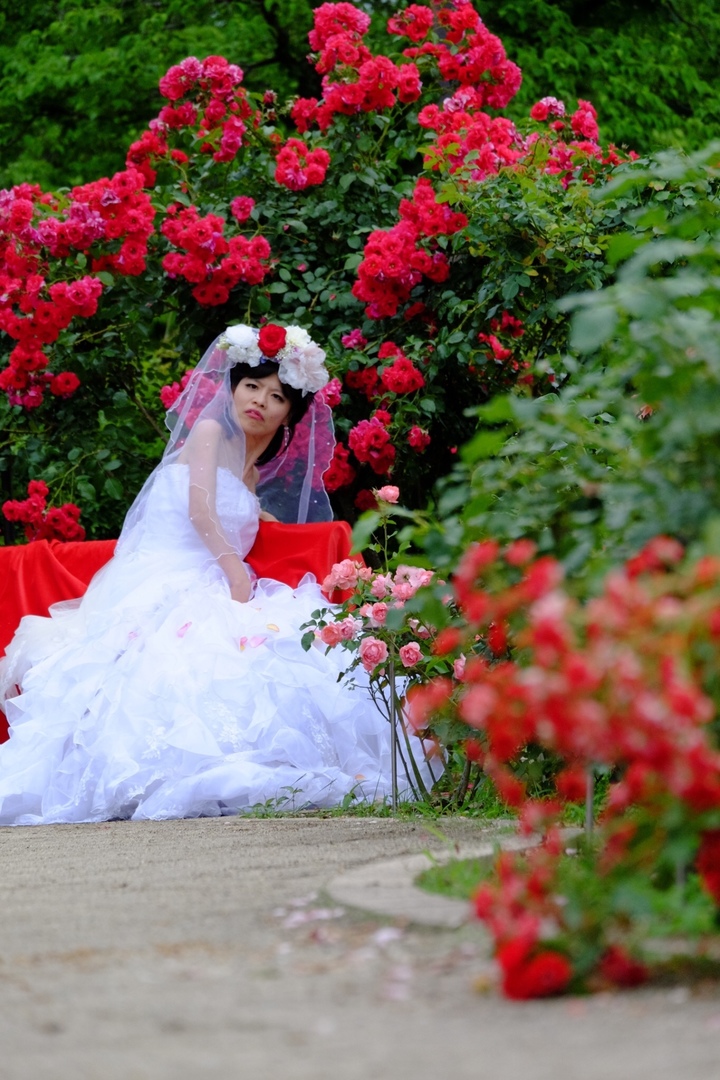 Thumb 681e0568 8a96 47b1 a578 489182c878ff