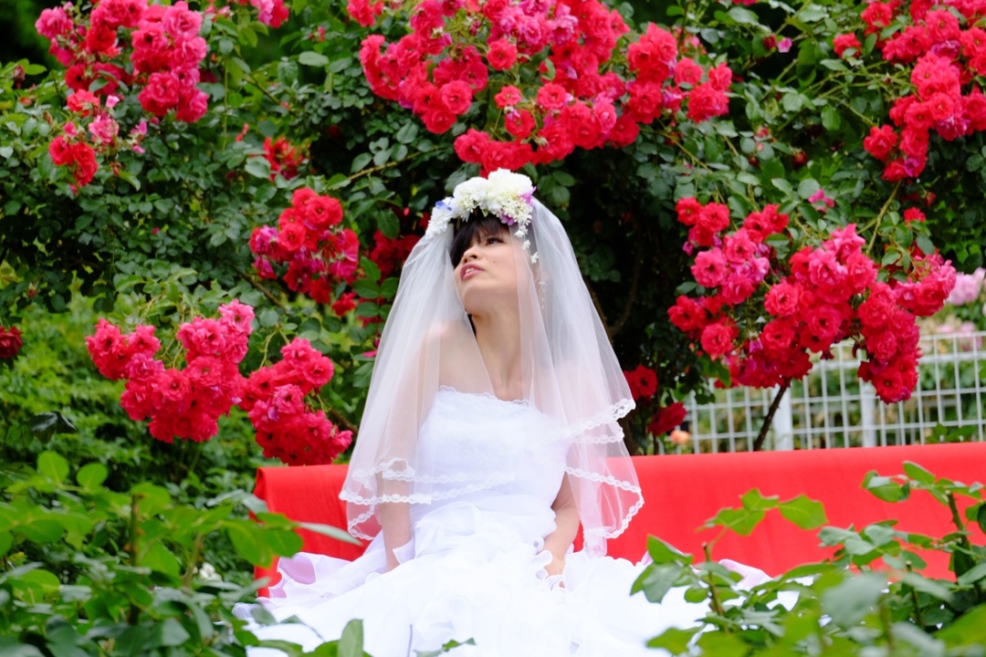 Thumb 1c399d09 6c1e 4718 b145 9e9c6977b265