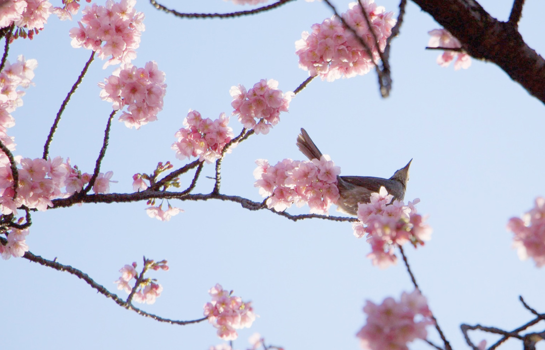 Thumb 993280f7 97dd 4294 8cdf a2568e297237