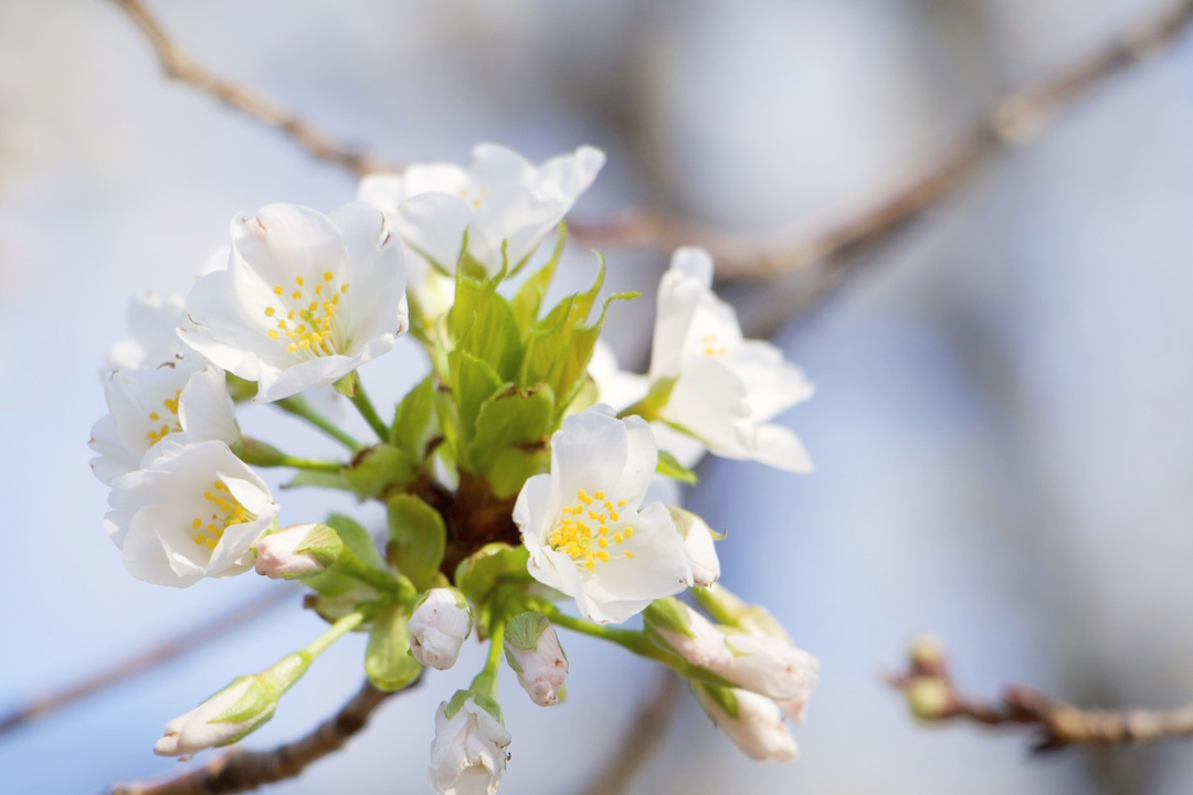 Thumb 5fa8fb44 294b 42ca adf2 ad12803e249c