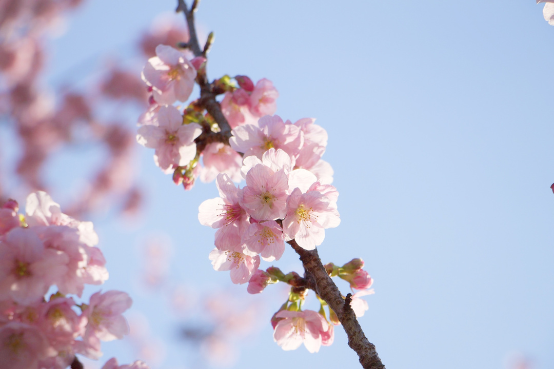 Thumb 77ee29fe d446 4540 ab33 490e2fa6d7f9