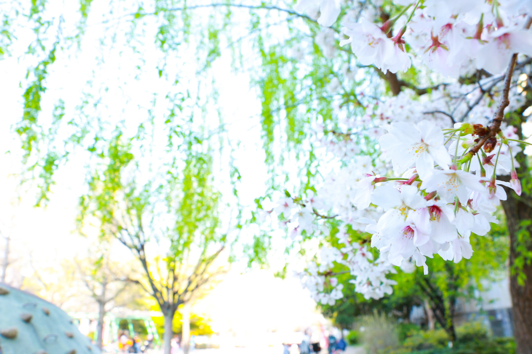 Thumb 02d1b0ca ce2c 4c1f 97de aaa24c37385f