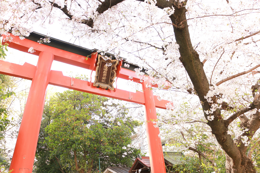 Thumb 2ed3fb98 ccce 4da2 9d03 f709b1f37144