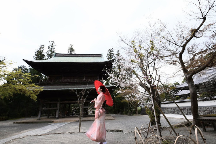 Thumb 86dc8ee8 509d 4fbf 91a0 3b411fdd72e6