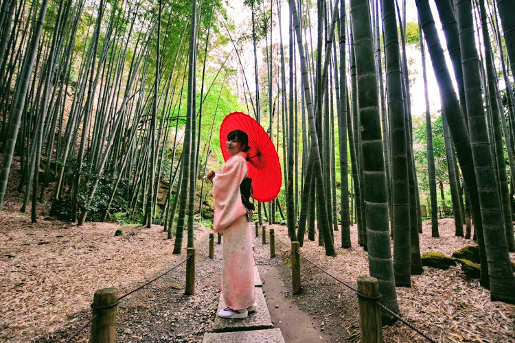 Thumb deab8a77 c83f 48c9 ab4b 1a6904db4c12