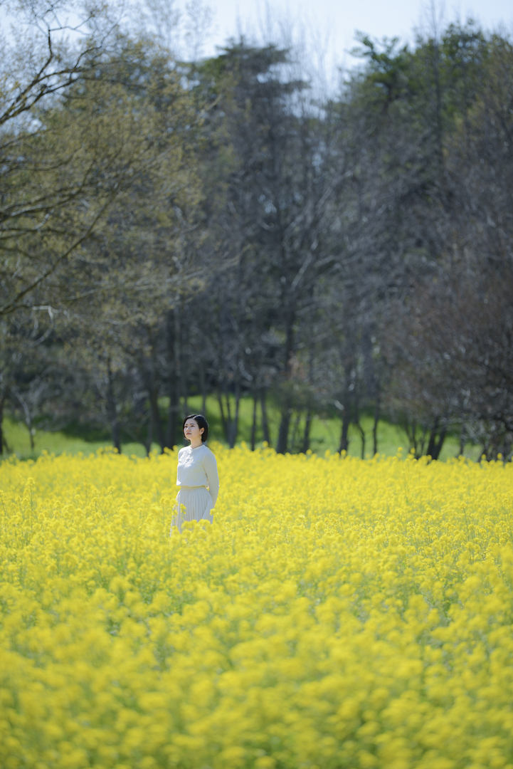 Thumb a72e0239 a0bc 4651 8414 e5f406768685