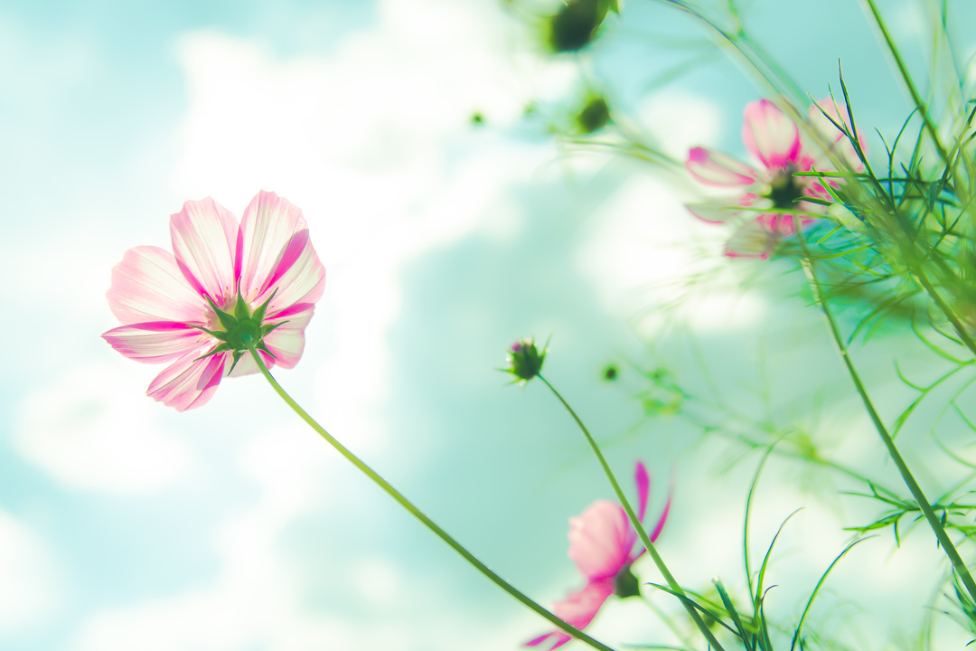 Thumb 2524be87 7560 42ae 8eb1 f80a263b093a