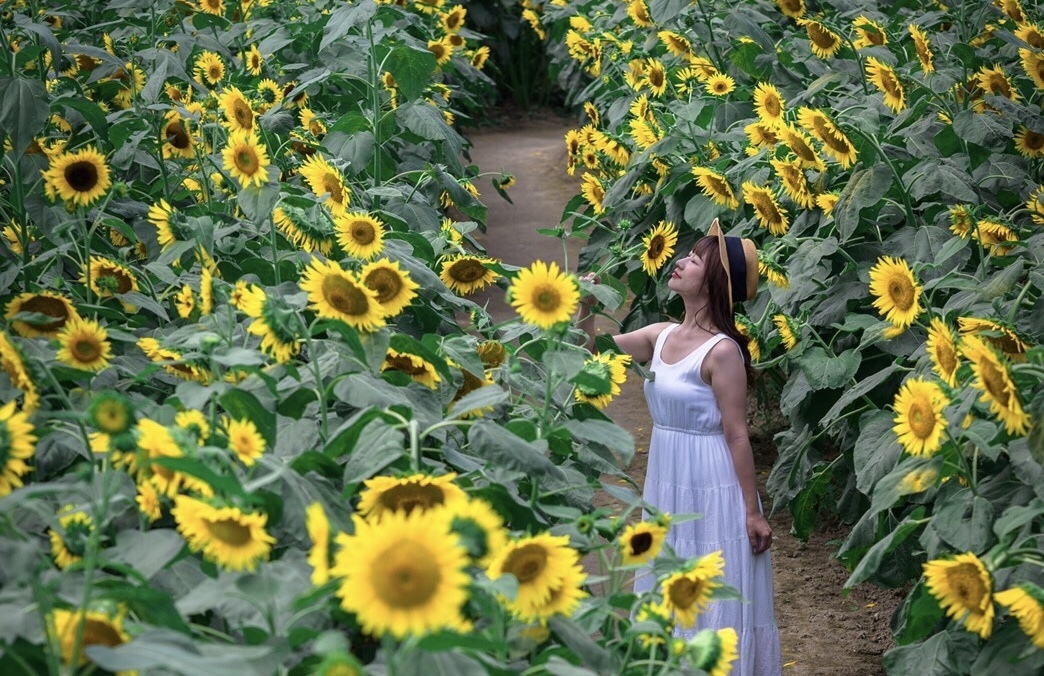 Thumb 6e9cd809 914a 4501 a6c7 2be7e56fbbfc