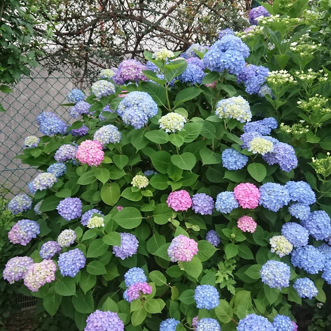 Thumb 316c2d2a 5f03 49c0 aaef 5c4f4d717541