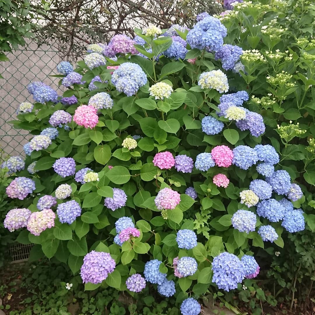 Thumb f699121b dd11 4302 8a12 9656352af06b