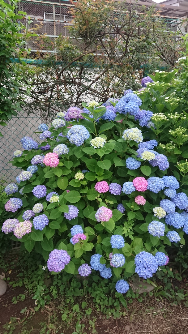 Thumb 19032de7 af0f 4278 8603 a43aa10a66e0