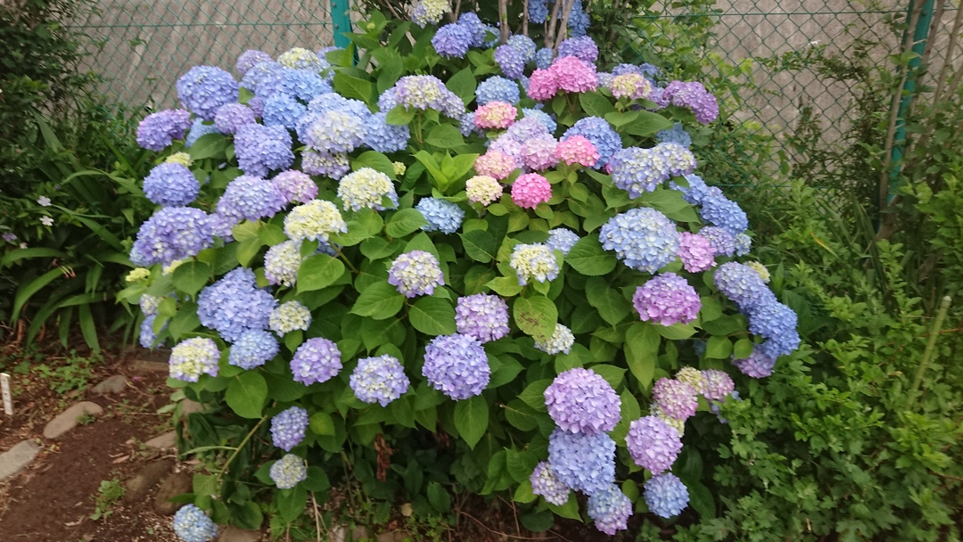 Thumb 252aa60d 4b6d 4d55 87b3 02598aeb56c5