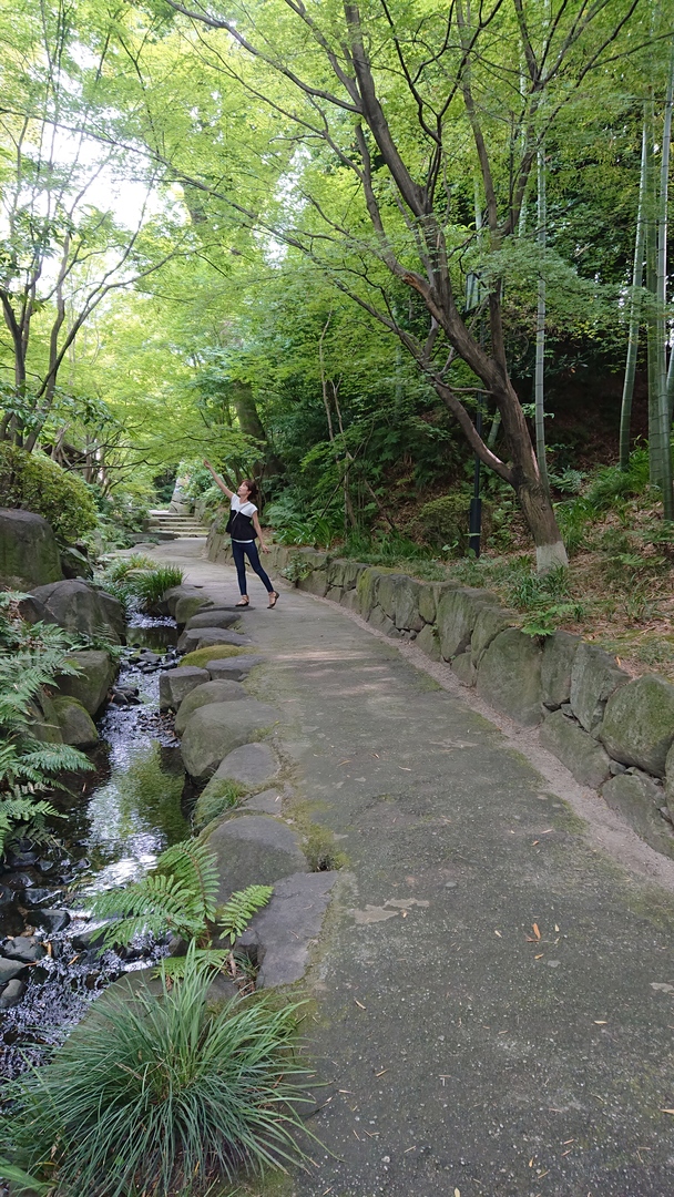 Thumb d777f404 7fe4 4c24 ba03 b76d1946cf60