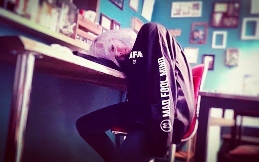 Thumb 56f2d966 8f2e 44b3 89f3 af6df546b607