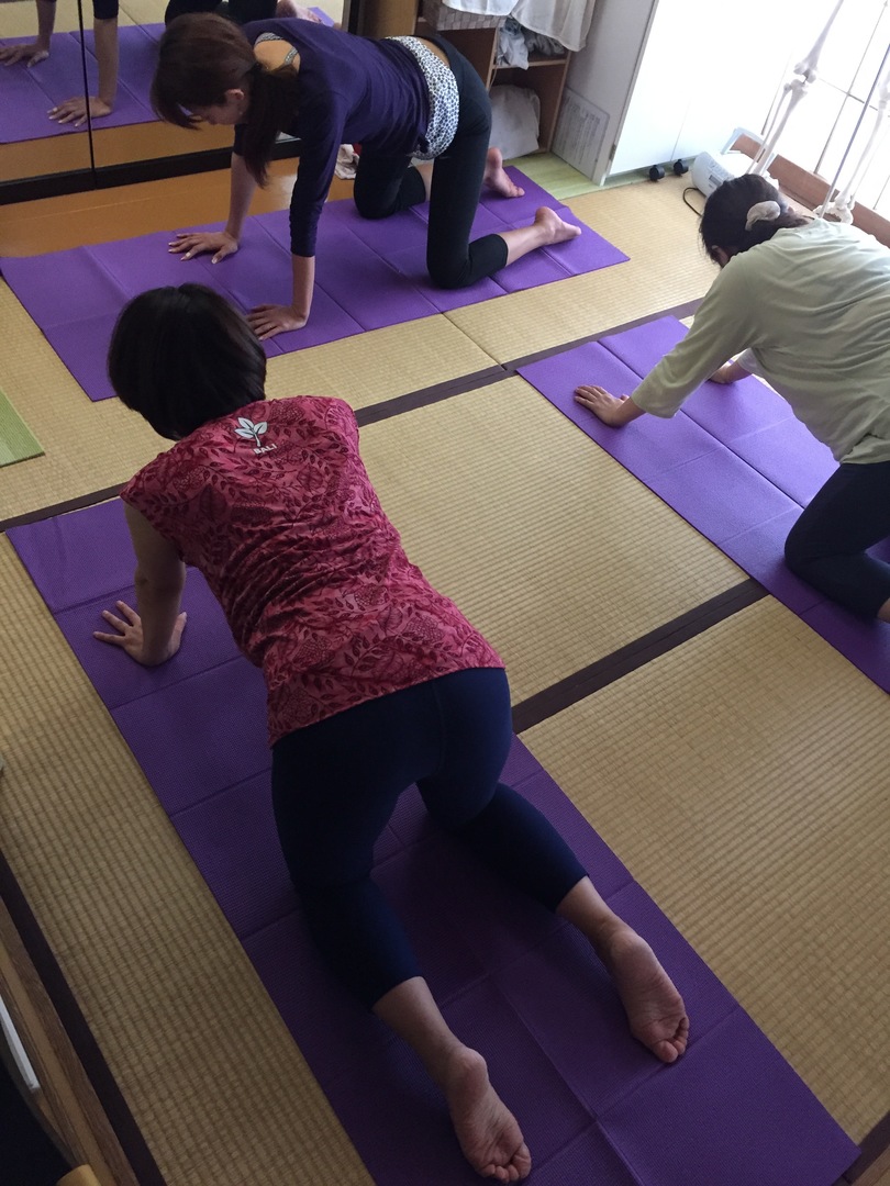 Thumb 6457e0eb 133c 4f53 ab2e e4035325d526