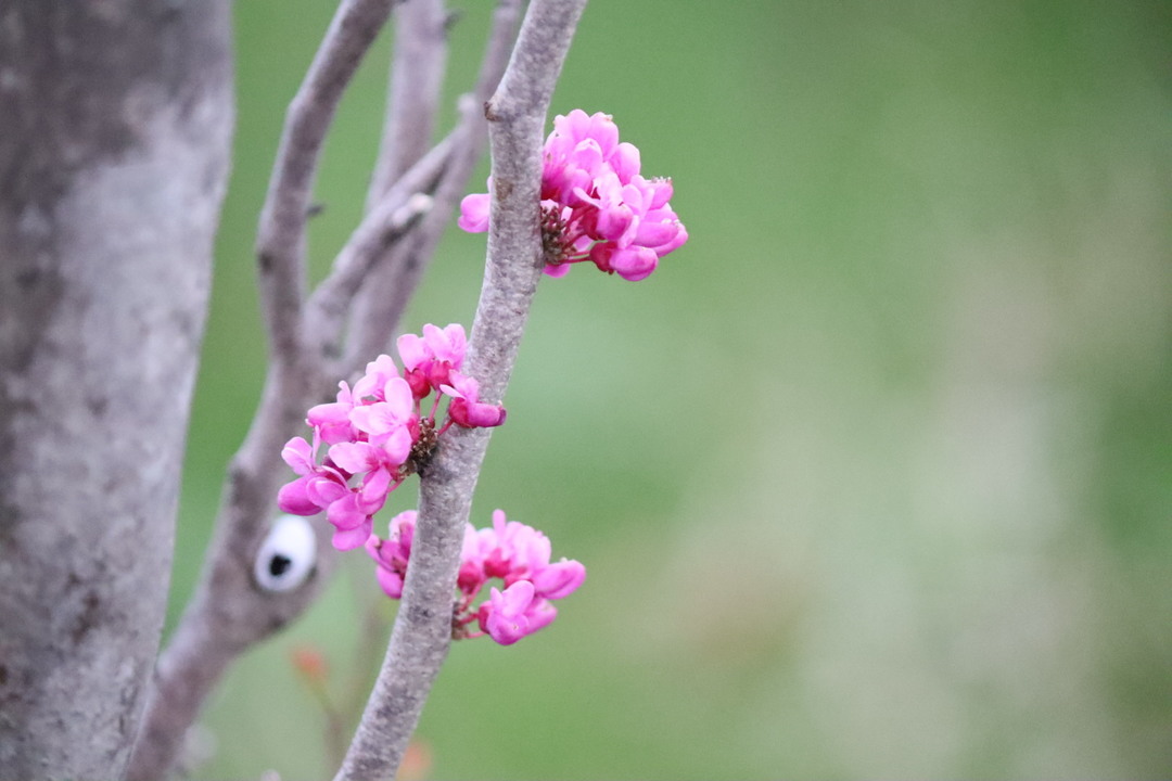 Thumb ce932a2b 0b67 4da0 9222 8a0b3aaafa7a