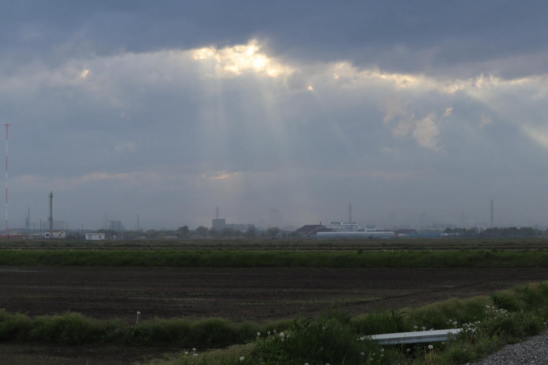 Thumb 3b1b26f4 c8c5 4dfe a05d 89251a86e231