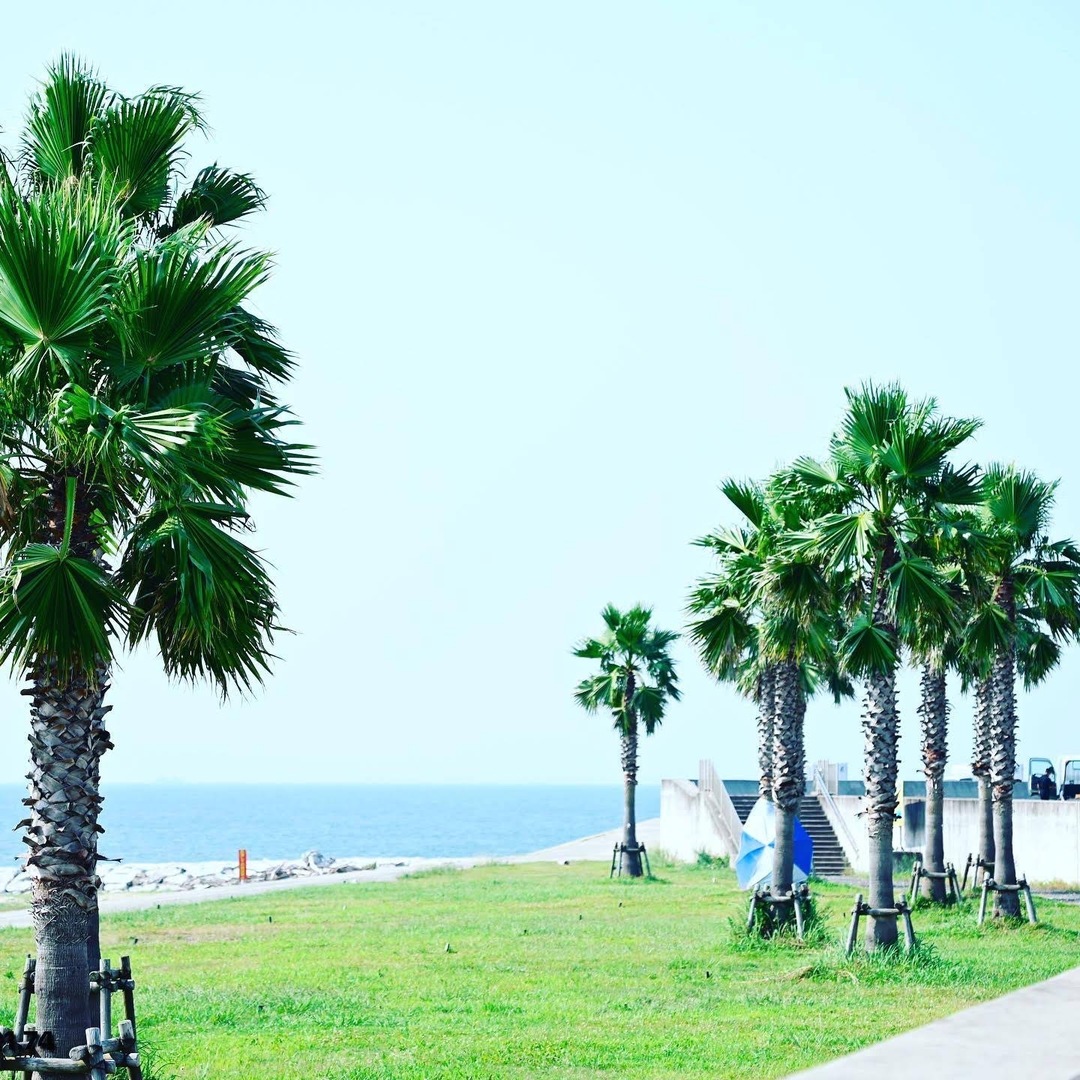 Thumb bc1cddfe 5e46 46f6 b2a2 a667499a5043