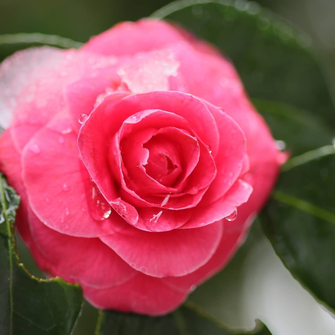 Thumb f8e20a7f 8ebc 49a4 bc00 bb5d81f54813