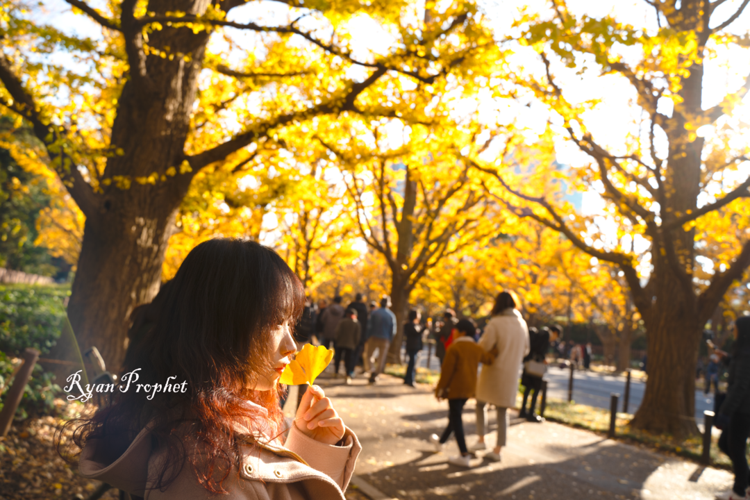 Thumb 683a9a86 8886 4d75 b463 fb3fca18b930