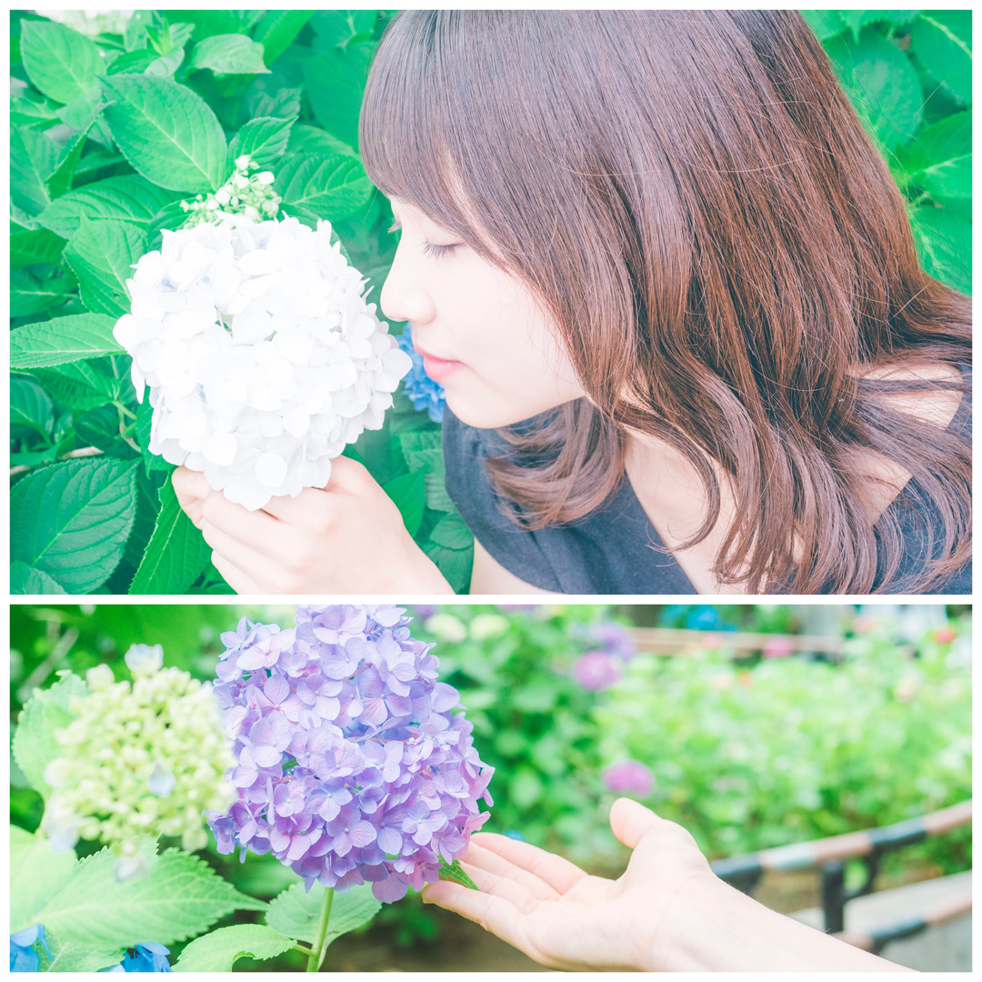 Thumb 0a6ec227 85d6 4f45 85f7 a4ff7cf83f5a