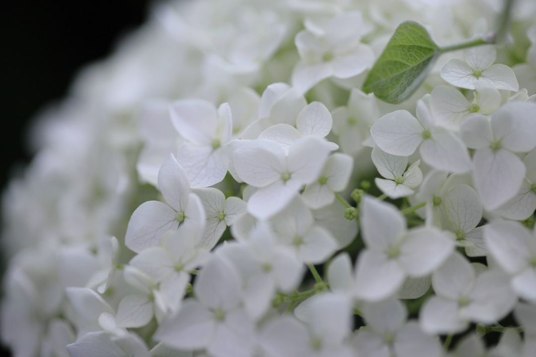 Thumb abce9c1e dd23 48ab ac0f 5ba6756cd411