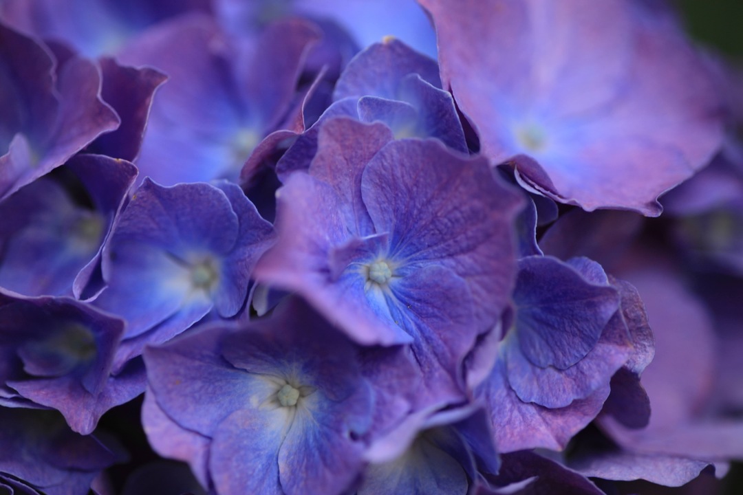 Thumb c04d6d3e 7db2 4839 93fd 436bce77a3a5