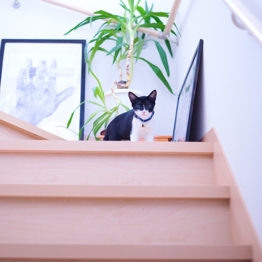 Thumb 7dfef3f8 b02c 43a0 808c a8b429c9112d