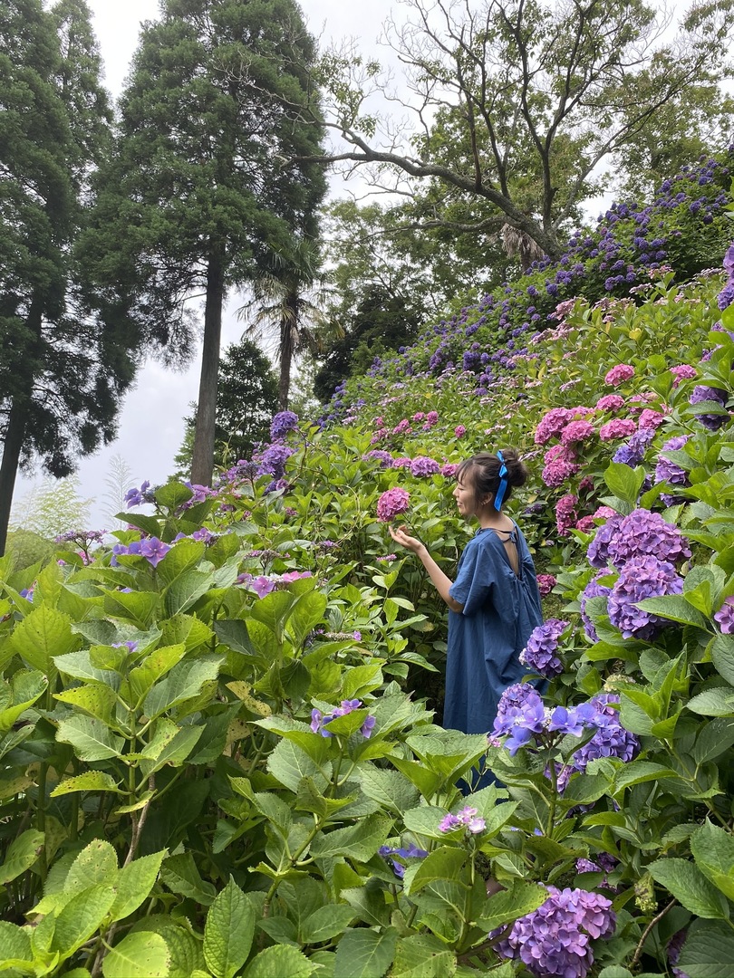 Thumb 25f4b95e bf62 4ad1 a4b0 8d0d66229671