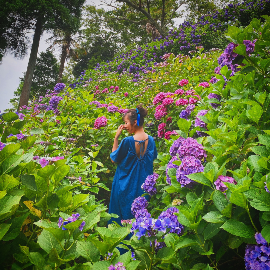 Thumb 14ecb4ae 4d8c 4637 9c9d cfa8a68937fd