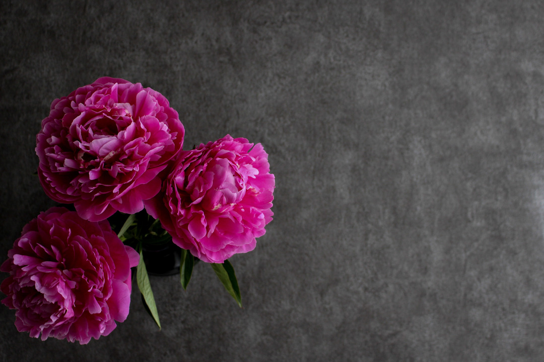 Thumb bc77379c 1e0b 4917 9fe3 642bddc8dd85