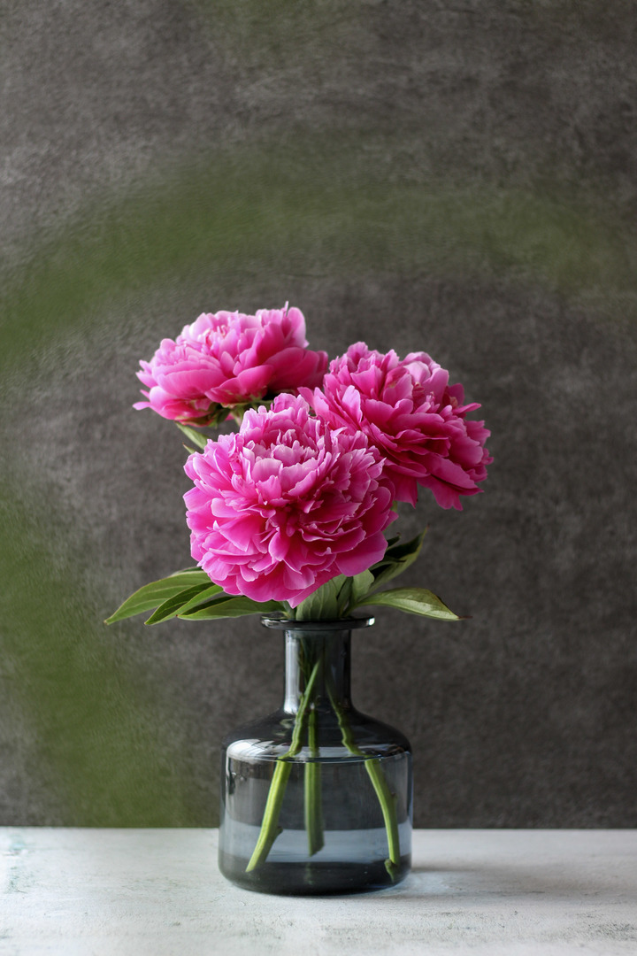 Thumb 59639960 e5d0 4b3c 8b10 c1dd727c31c1