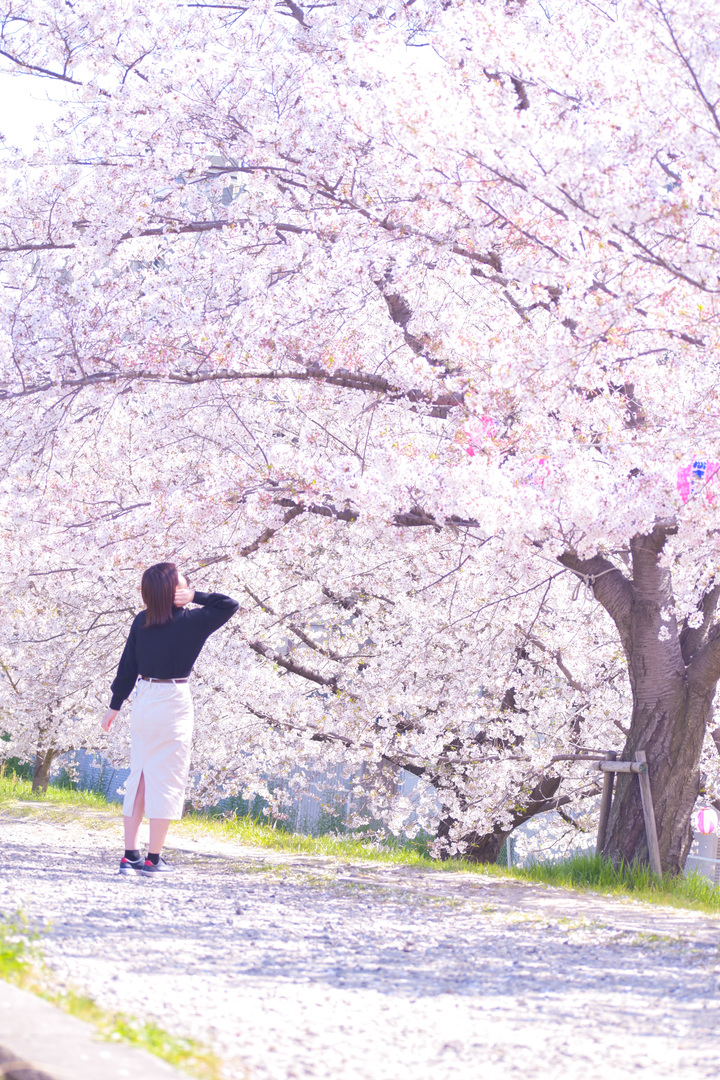 Thumb bfd2c249 f430 45c9 b8ba b120349cf961