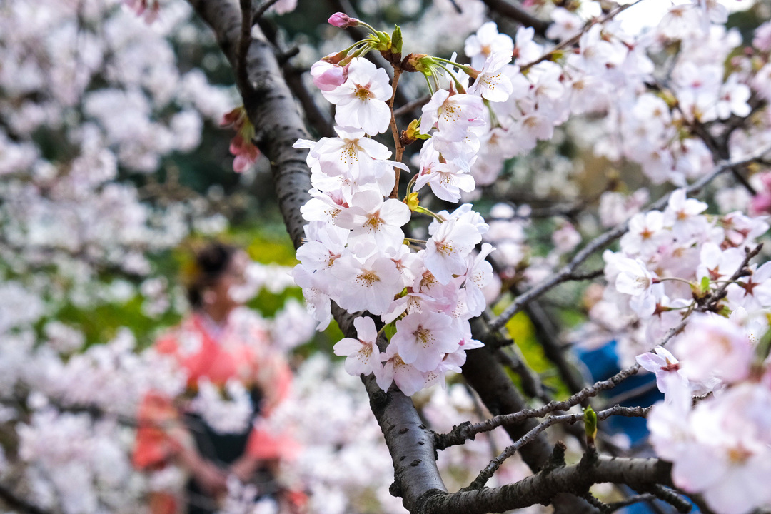 Thumb ef6ea520 b24c 441d 94d7 dd03aa7e829c