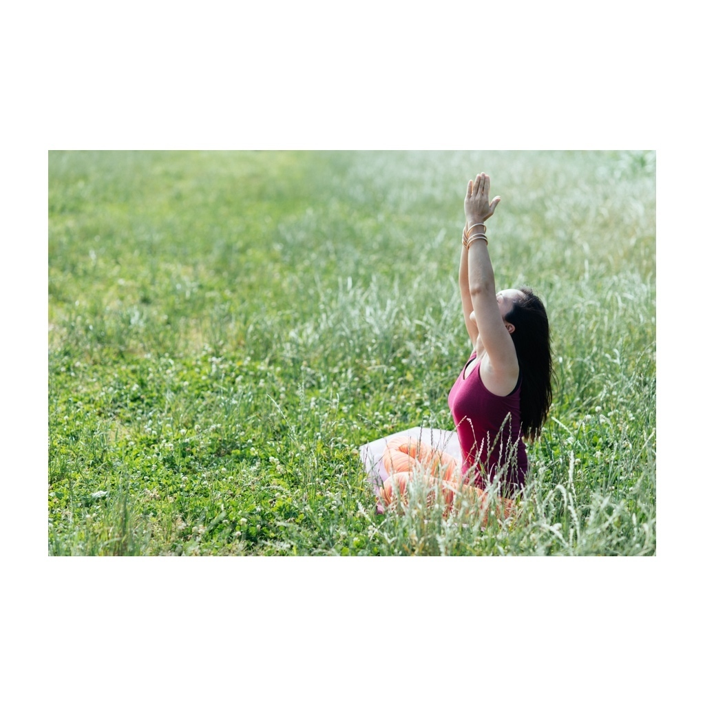 Thumb 20f1a03a f0cc 4c81 b95a f13465f024c3