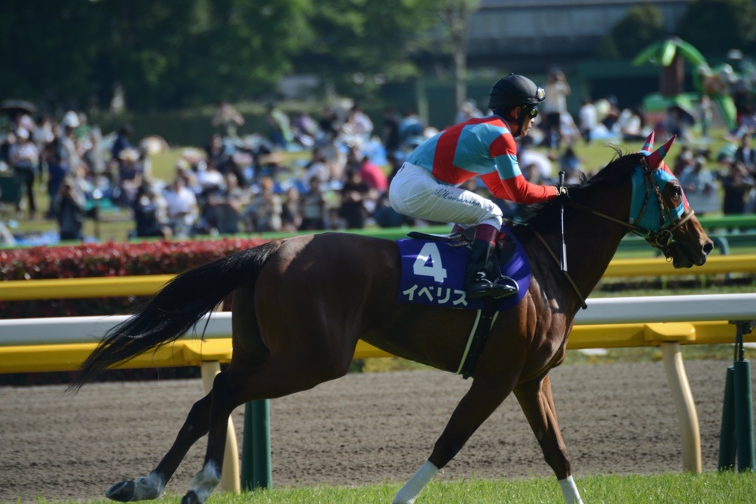 Thumb 33a1b8ff 2a6c 4e65 97b7 0e8b4636b6d0