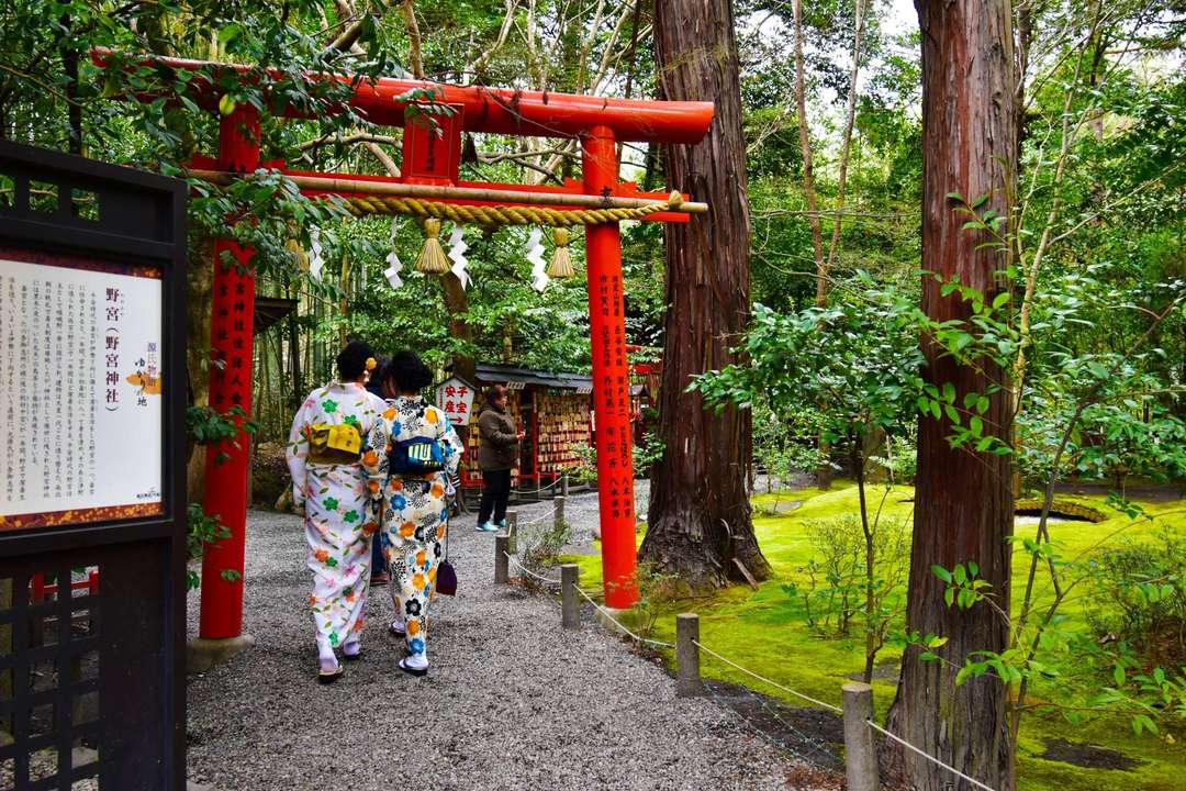 Thumb 3d163bc9 5b20 4ed6 bb72 243a84881c57