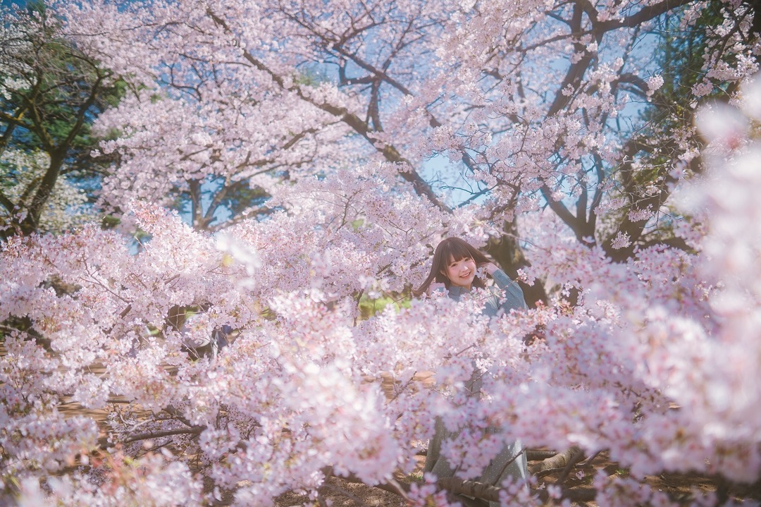 Thumb e8320c39 d005 4408 9e30 db401da08169