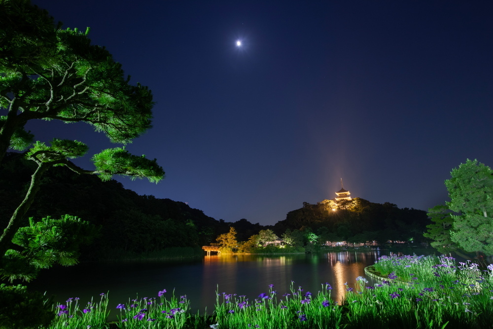 Thumb 2abfaa8f f27c 4744 a0d9 0335ee6fdd5f