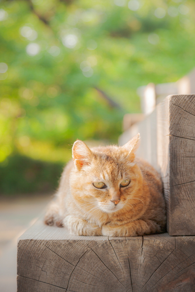 Thumb b86623a4 c95c 43e2 97b0 9ae3423ab5ea