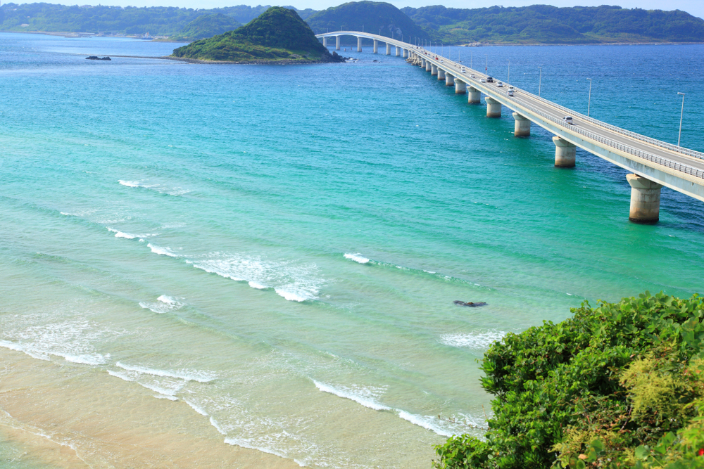 Thumb 962936a3 6585 4481 993c fd4d90510e38