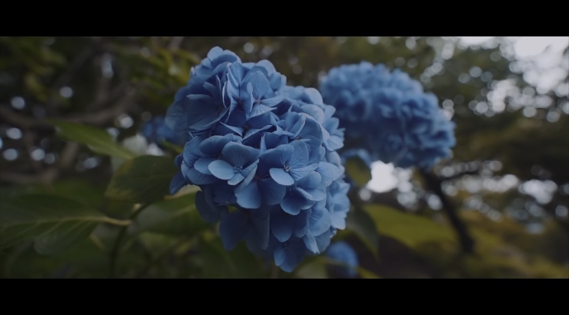 Thumb 9b05f30e 6c28 4c0c bf5c 51a0c6176bcd