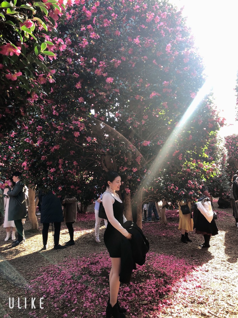 Thumb 3707c0fa d22e 4169 9290 2efb34bb2be7