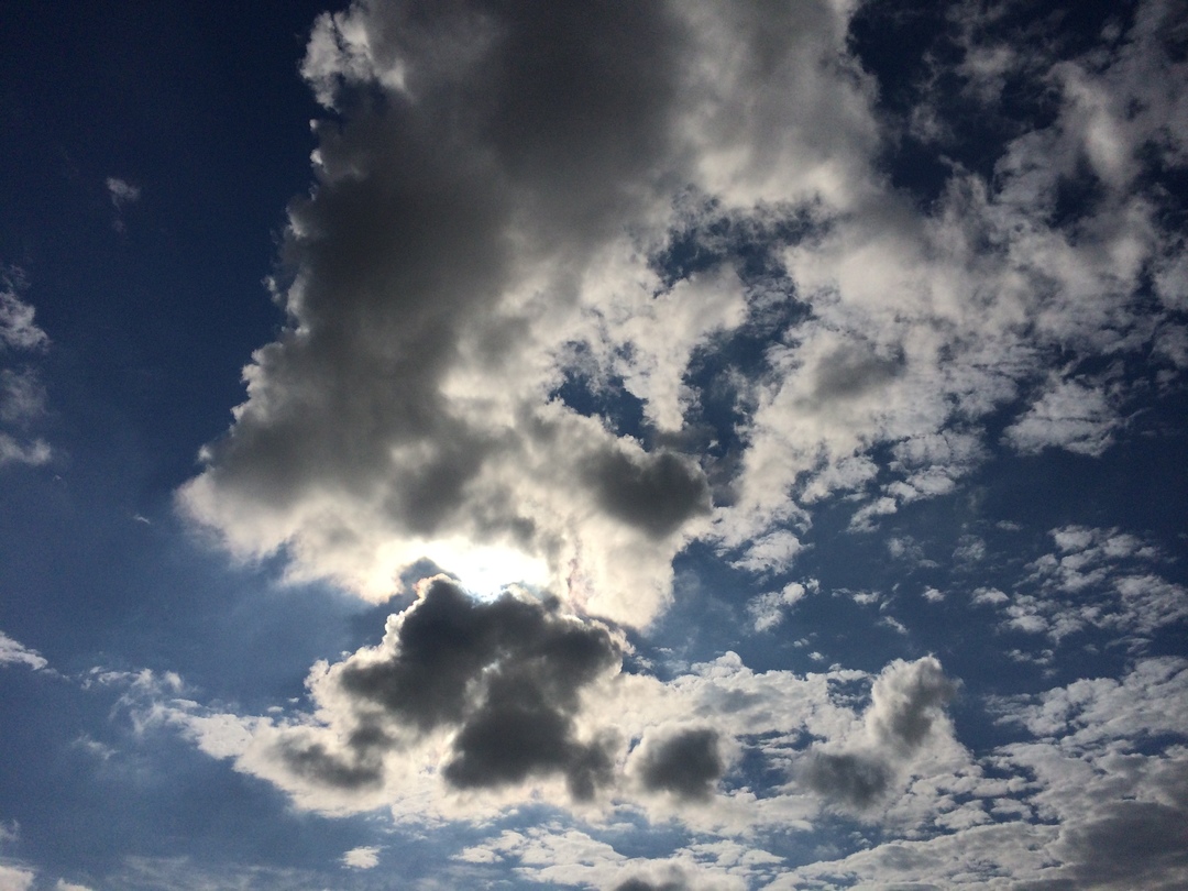 Thumb 3c6dc597 639f 43ed a5cd abdf75a10b13