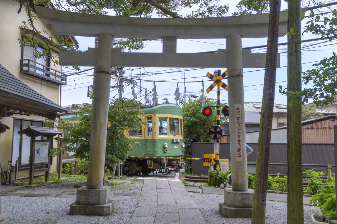 Thumb 0aa623fd 2b71 4359 96a2 96d7901c107a