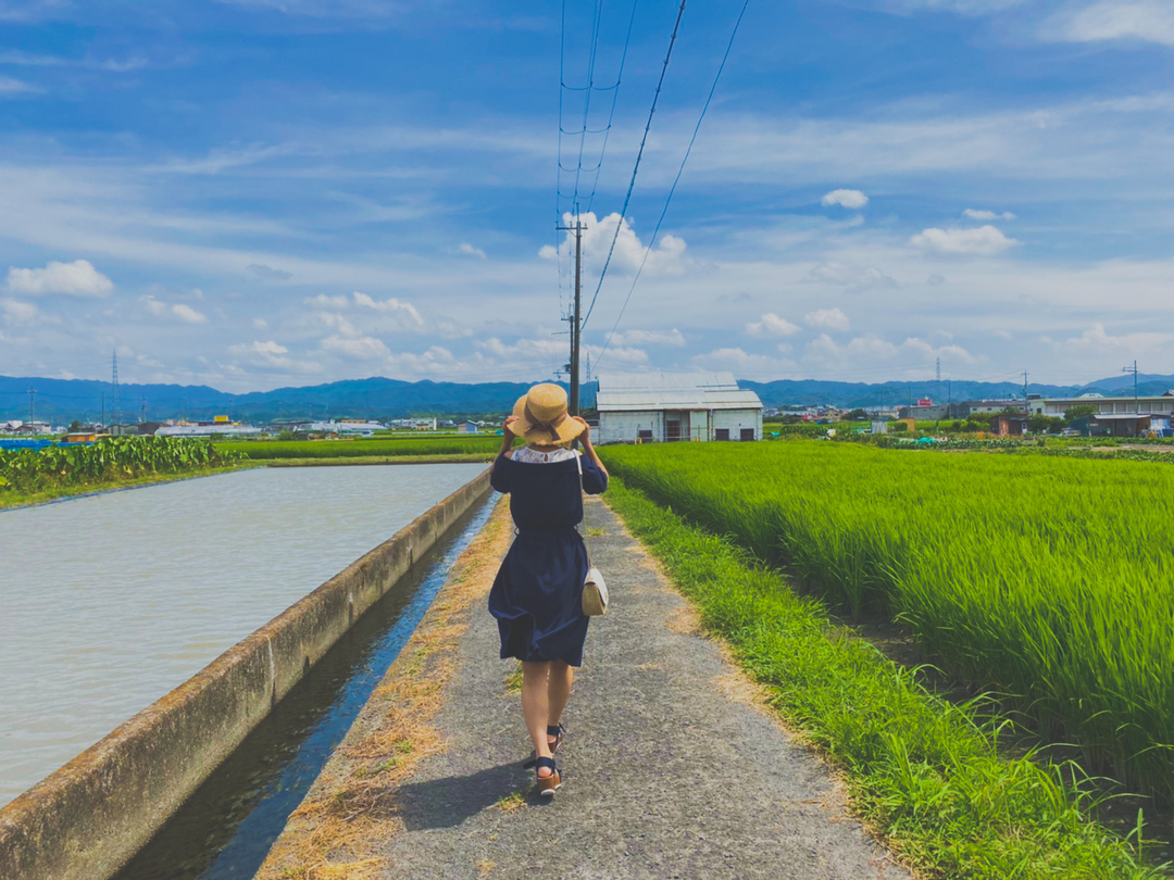 Thumb e1b03b72 dbf8 4762 9d07 bec1a71d8a03