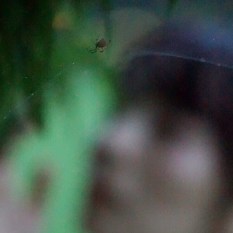 Thumb a088bf35 2ee8 4cd8 963a 9ab9bc591837