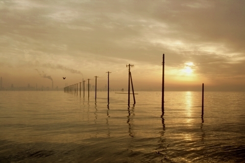 Thumb e470b481 2225 4c89 851a da4432ccc752